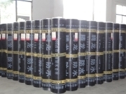 【防水卷材】相冊、圖片- 湖南騰龍科技集團