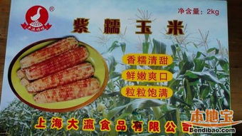 舌尖上的甜蜜——探秘大團桃園特產與農副產品的生態之旅